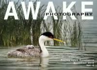 Awake Photography - November<span style=color:#777> 2019</span>