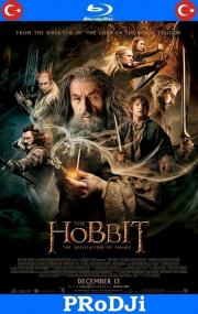 The Hobbit The Desolation of Smaug<span style=color:#777> 2013</span> Extended BluRay 1080p DTS x264-PRoDJi