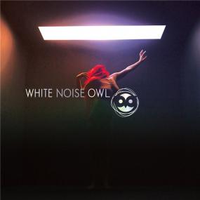 White Noise Owl - Condition Critical -<span style=color:#777> 2019</span> (320 kbps)
