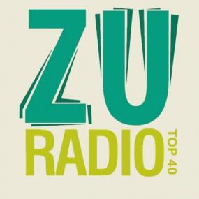 VA-Radio Zu Most Wanted Top 40-<span style=color:#777>(2011)</span>-MFA