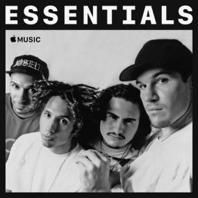 Rage Against the Machine - Essentials <span style=color:#777>(2020)</span> Mp3 320kbps [PMEDIA] ⭐️