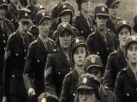 Tony Robinsons History Of Britain S01E04 Second World War 480p x264<span style=color:#fc9c6d>-mSD[eztv]</span>