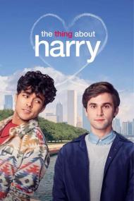 The Thing About Harry<span style=color:#777> 2020</span> 720p HULU WEBRip 800MB x264<span style=color:#fc9c6d>-GalaxyRG[TGx]</span>