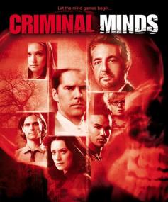 Criminal Minds S05E09 100 HDTV XviD-FQM [VTV]