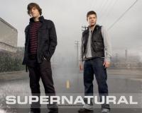 Supernatural S06E19 HDTV XviD<span style=color:#fc9c6d>-2HD</span>