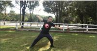 Udemy - Aerobic Tai Chi Workout - Original Chen Style Old Form Two