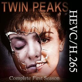Twin Peaks  Season 1