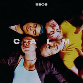 5 Seconds Of Summer - CALM <span style=color:#777>(2020)</span> [320]