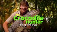 Crocodile Hunter The Best Of Steve Irwin 4of6 Reptiles of the Lost Continent MVGroup forum