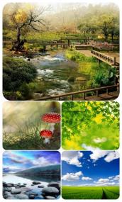Collection of HD Nature Wallpapers (41)