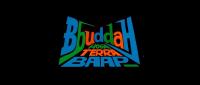 Bbuddah Hoga Terra Baap (Hindi<span style=color:#777> 2011</span>) DvDRip XviD ESubs@mastitorrents