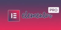 Elementor Pro v2.9.5 - Elementor v2.9.11 - Live Page Builder For WordPress - NULLED + Page Archive & Popup Templates