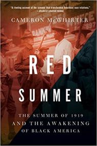 Red Summer - The Summer of 1919 and the Awakening of Black America