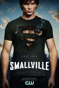 Smallville S10E04 HDTV XviD<span style=color:#fc9c6d>-2HD</span>