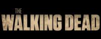 The Walking Dead S10E12-13 ITA ENG 1080p AMZN WEB-DLMux H.264<span style=color:#fc9c6d>-MeM</span>