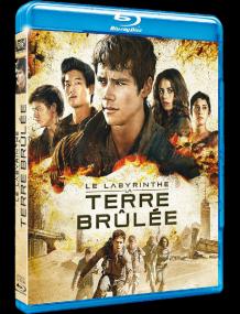 Maze Runner 2<span style=color:#777> 2015</span> BR EAC3 VFF VFQ ENG 1080p x265 10Bits T0M