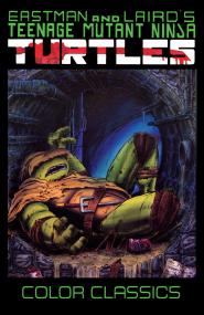 Teenage Mutant Ninja Turtles Color Classics v03 <span style=color:#777>(2020)</span> (digital) (Raphael-Empire)