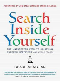 Search Inside Yourself - The Unexpected Path to Achieving Success, Happiness (and World Peace) (epub and mobi)