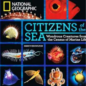 Citizens of the Sea (gnv64)