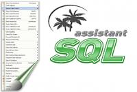SoftTree SQL Assistant v11.2.246 Enterprise Edition + Crack