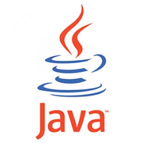 Java Runtime Environment 1.7.0.10 (32-bit)