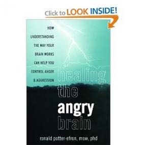 Healing the Angry Brain How Understanding the Way Your Brain Works Can Help You Control Anger and Aggression