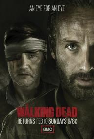 The Walking Dead S03E10 720p WEB-DL AAC2.0 H.264-Cyphanix [PublicHD]