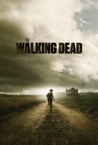 The Walking Dead S03E11 HDTV XviD<span style=color:#fc9c6d>-AFG</span>