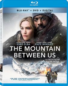 The Mountain Between Us <span style=color:#777>(2017)</span> 1080p 10bit Bluray x265 HEVC [Org BD 5 1 Hindi + DD 5.1 English] MSubs ~ TombDoc
