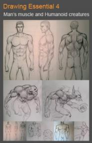 Drawing Essential 4 How to draw male figure, body variations and humanoid creatures