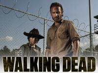 THE WALKING DEAD <span style=color:#777>(2013)</span> S03E07 x264 (WEB-DL) 1080p NLSubs