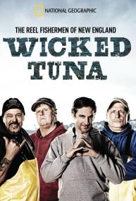 Wicked Tuna S02E07 HDTV XviD<span style=color:#fc9c6d>-AFG</span>