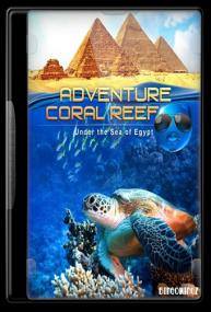 Adventure Coral Reef Under The Sea Of Egypt [2012]720p BDRip H264(BINGOWINGZ-UKB-RG)