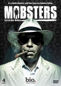 A E Biography Mobsters Series 1 09of13 Frank Lucas x264 AC3