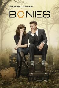 Bones S08E20 The Blood From The Stones 480p WEB-DL x264<span style=color:#fc9c6d>-mSD</span>