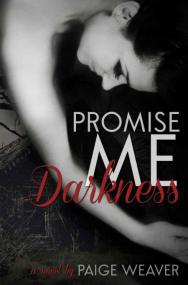 Promise Me Darkness by Paige Weaver