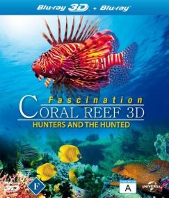 Fascination Coral Reef Hunters And The Hunted<span style=color:#777> 2012</span> 720p BluRay x264-NORDiCHD [PublicHD]