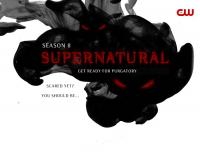 Supernatural Season 8 Complete 480p HDTV x264 [VectoR]