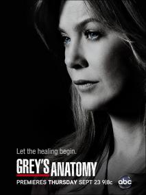 Grey's Anatomy S09 Season 9 720p WEB-DL H264-NTb [PublicHD]