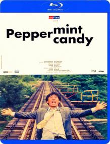Peppermint Candy [1999]-720p-BRrip-x264-StyLishSaLH (StyLish Release)