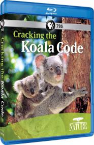 Cracking the Koala Code<span style=color:#777> 2012</span> 720p BluRay x264-CtrlHD [PublicHD]