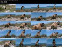 HotKinkyJo Sexy Soldier At Baltic Dunes 720p
