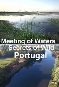 Слияние рек_ Секреты дикой природы Португалии