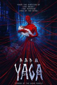 Baba Yaga Terror Of The Dark Forest <span style=color:#777>(2020)</span> [720p] [BluRay] <span style=color:#fc9c6d>[YTS]</span>