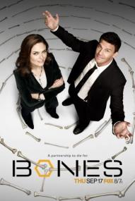 Bones S05E17 HDTV XviD<span style=color:#fc9c6d>-LOL</span>