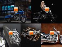Harley Davidson Logon Screen