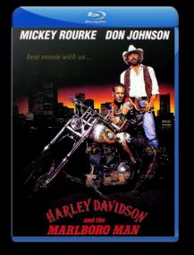 1991 Harley Davidson renta23