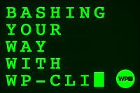 Bashing Your Way with WP-CLI