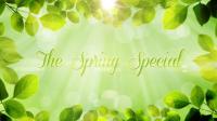 Videohive-4437773-the-spring-special-promo-pack