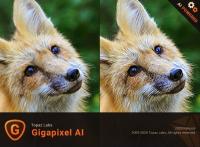 Topaz Gigapixel AI 5.1.0 (x64) [FileCR]